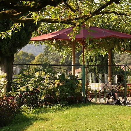 Agriturismo Il Belvedere Palazzago Dış mekan fotoğraf