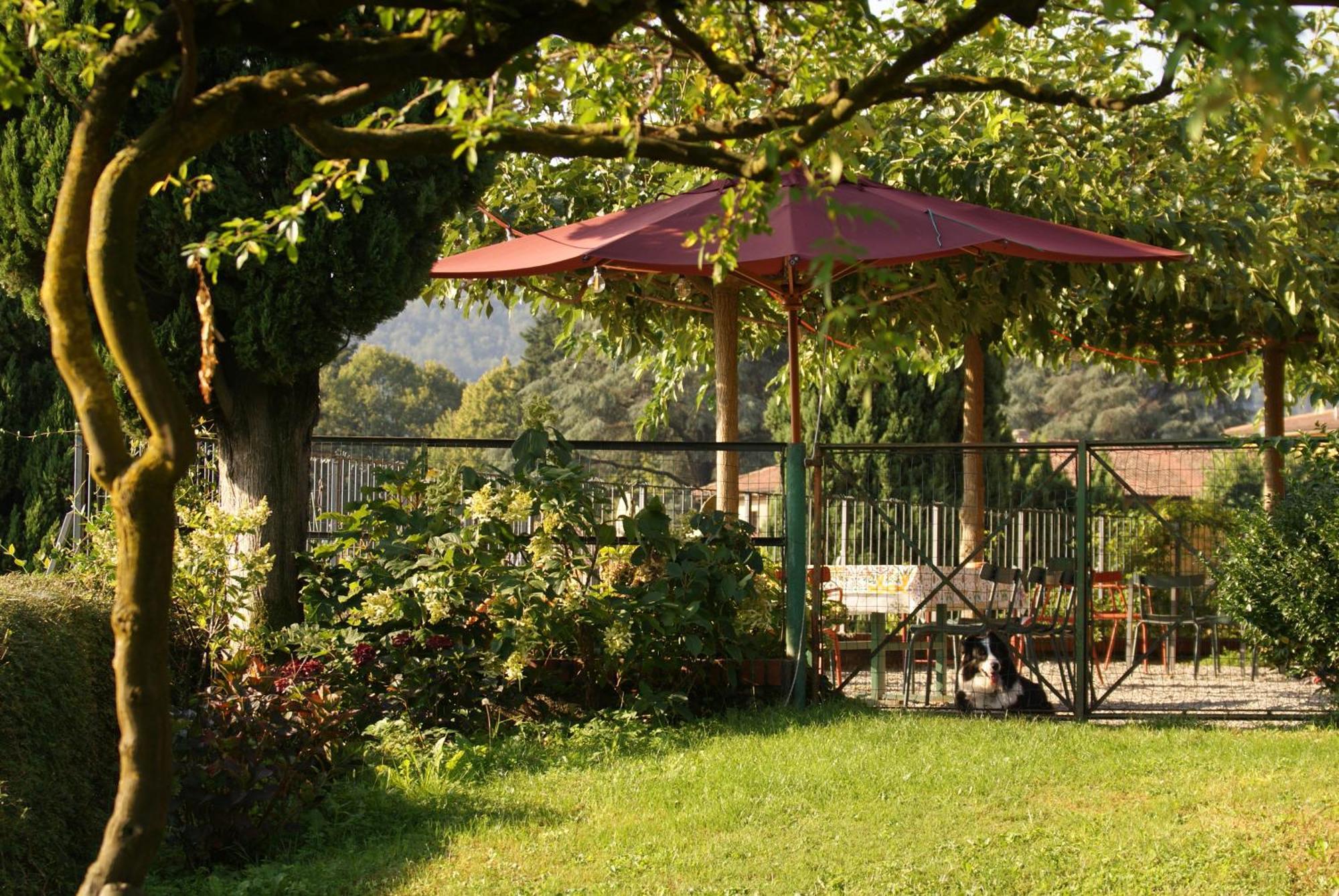 Agriturismo Il Belvedere Palazzago Dış mekan fotoğraf